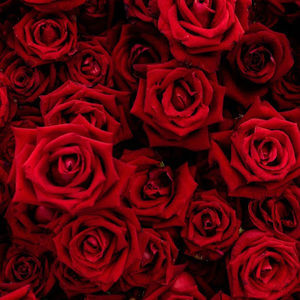 Meet your Posher, Sharmila